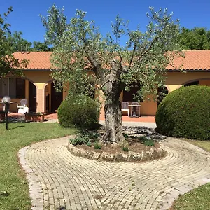 Alloggio per agriturismo Il Girasole, Venturina Terme